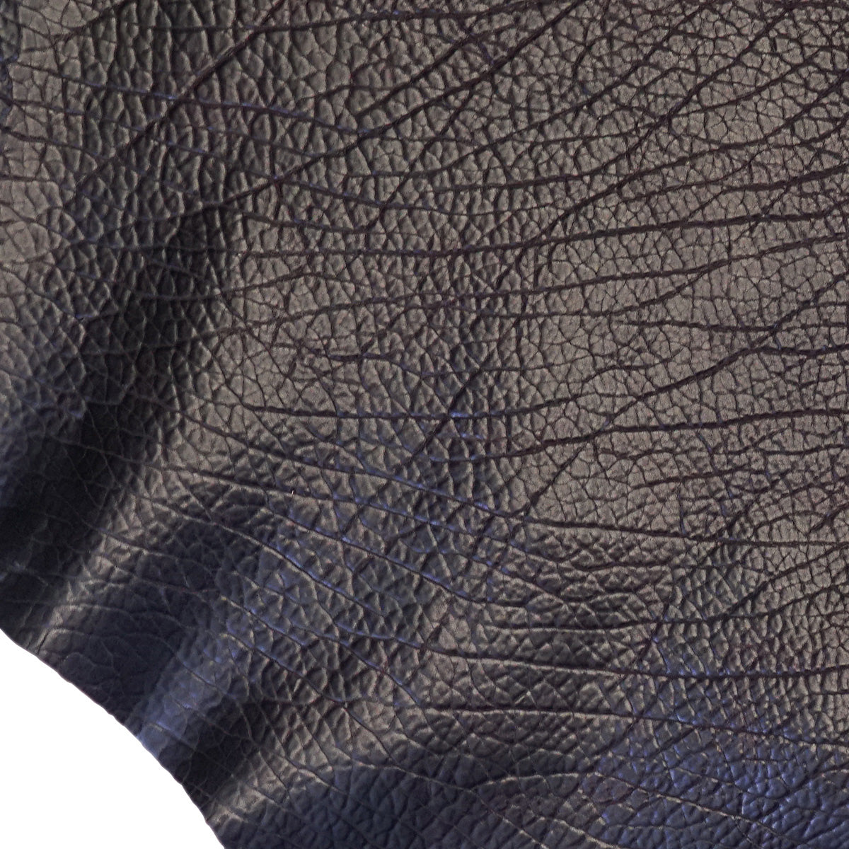 SGBDS.Glazed Dark Brown.03.jpg Shrunken Grain Buffalo Double Shoulders Image