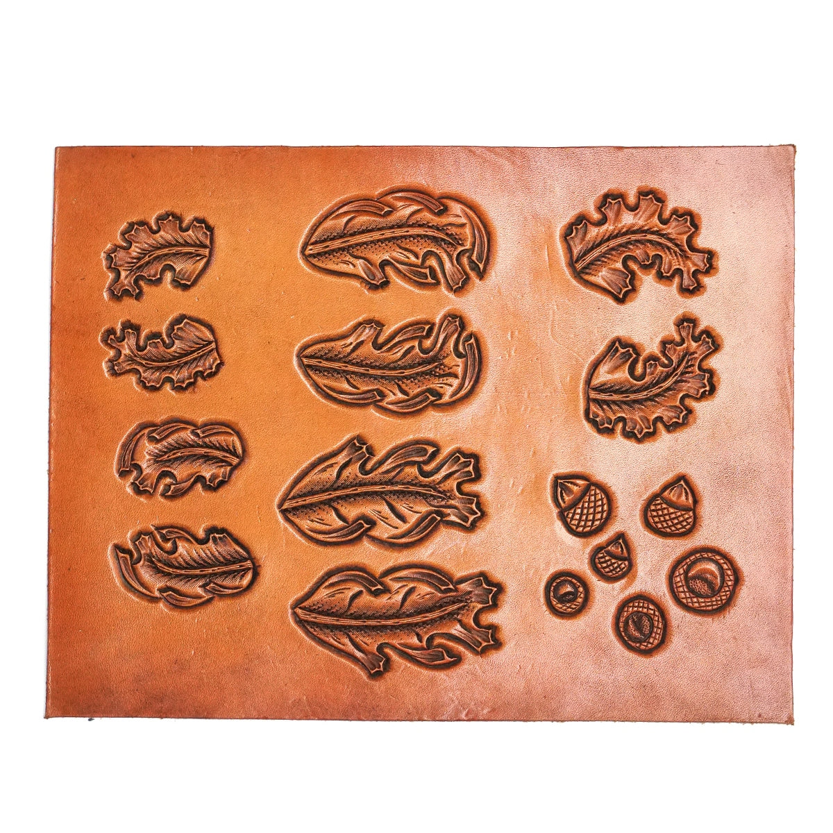 011-7712.SLC.02.jpg CarveRite - Oak Leaves and Acorns Image