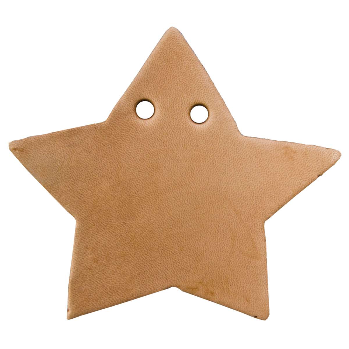 SHP005.SLC.1.jpg Camp & Craft Shape - 5 Point Star with Hole Image