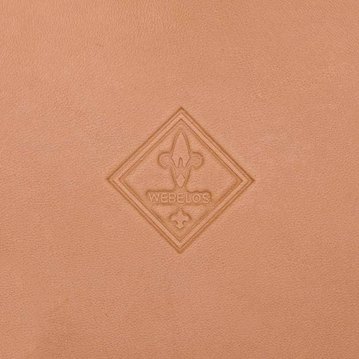 115-88801.SLC.01.jpg 3D Stamp - Webelos Image