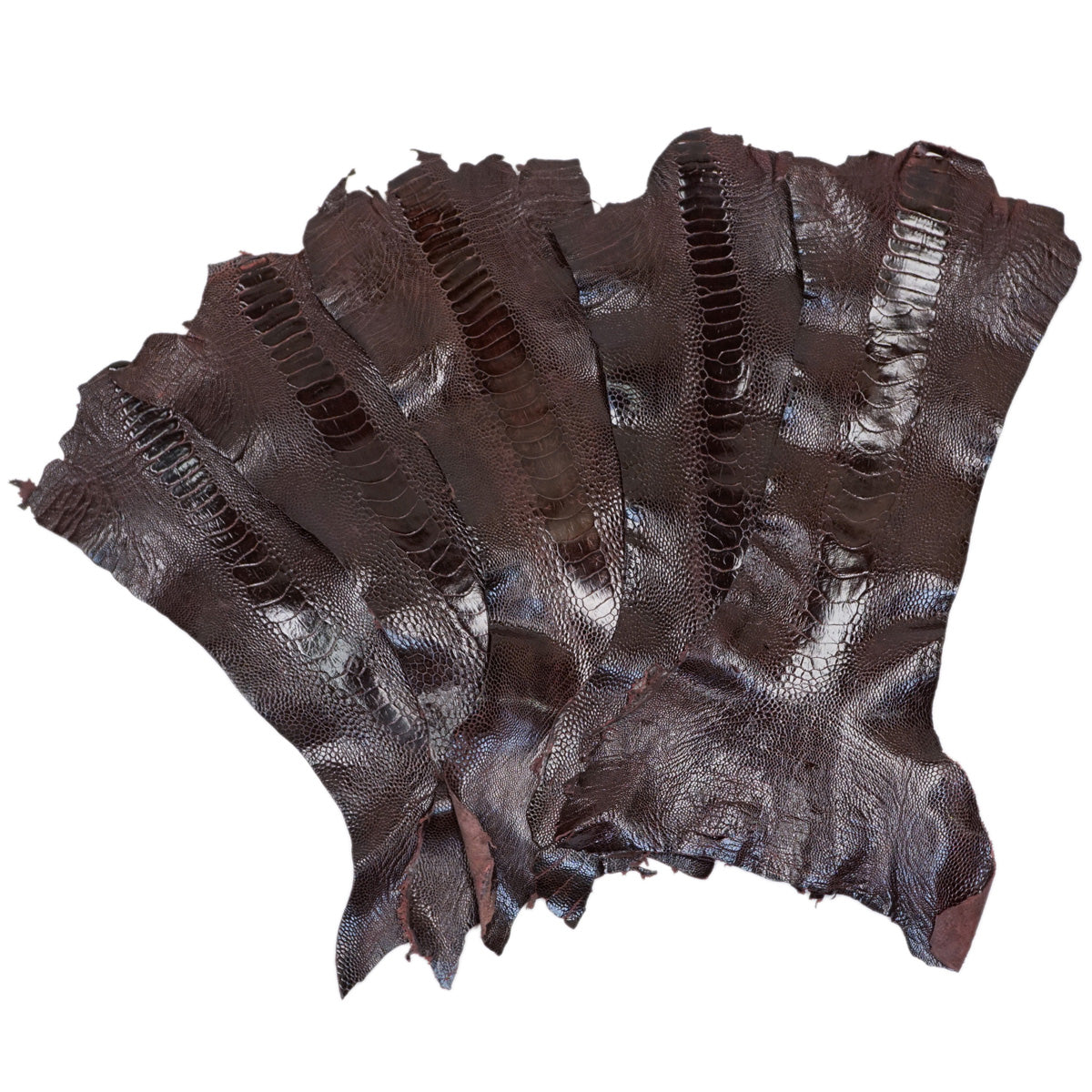 22-17.SLC.5.jpg Special Purchase Ostrich Leg - Bordeaux Image