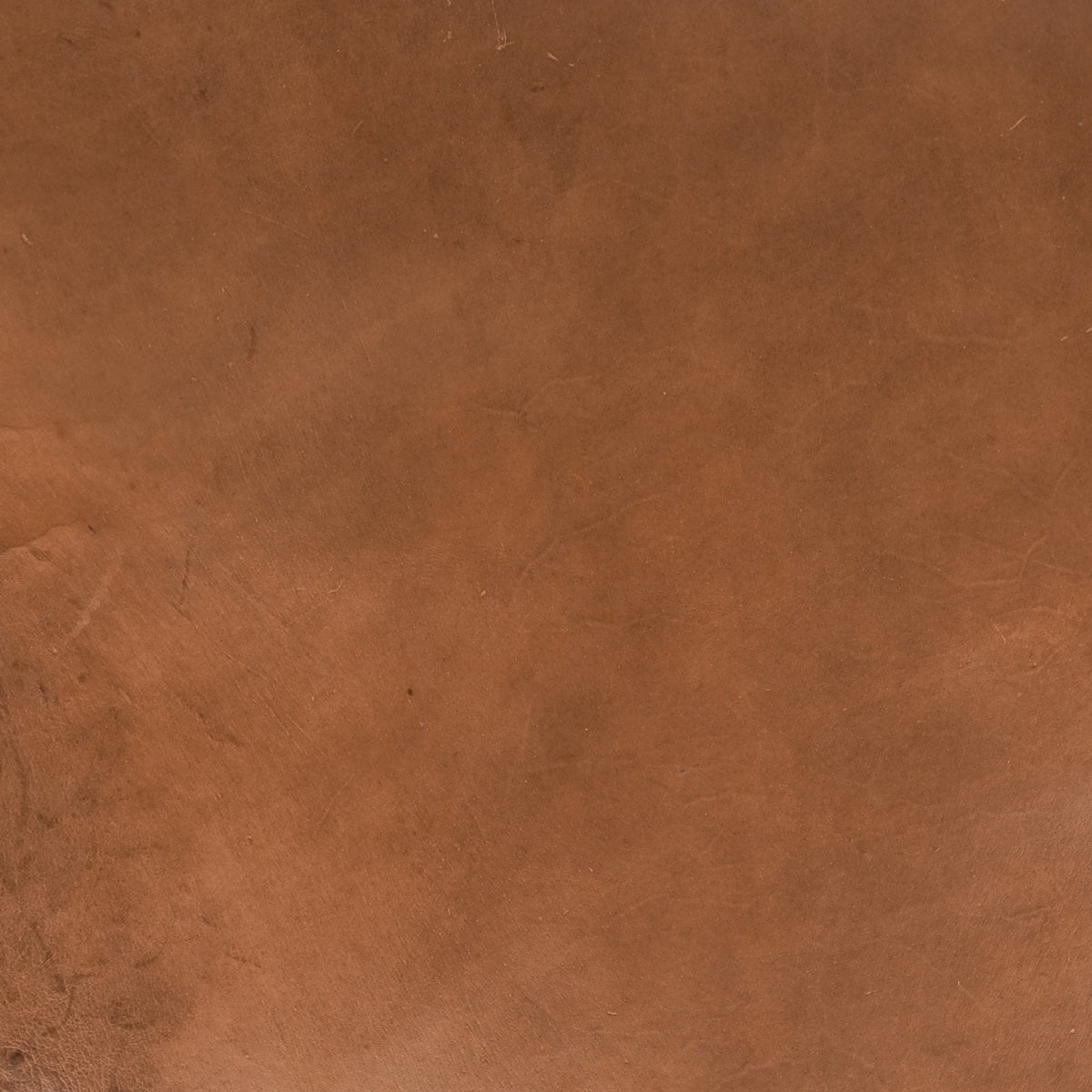 VTKS.Brandy.Glazed Finish.3.jpg Veg Tan Kangaroo Skins Image