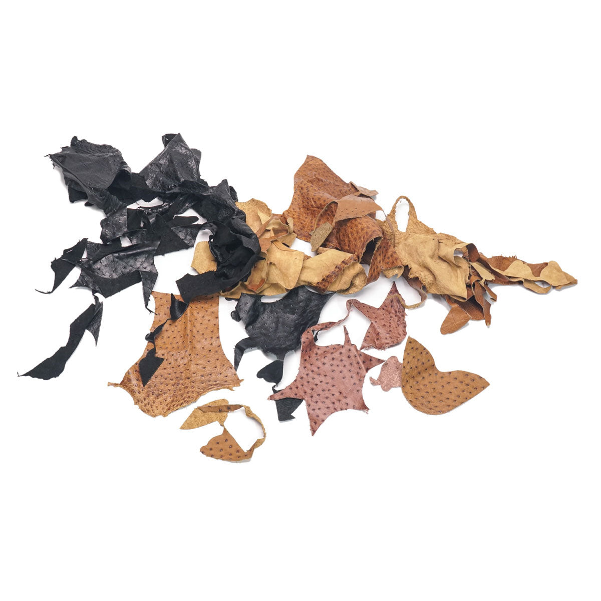 61-101.SLC.04.jpg 25lb Ostrich Remnant Box Image