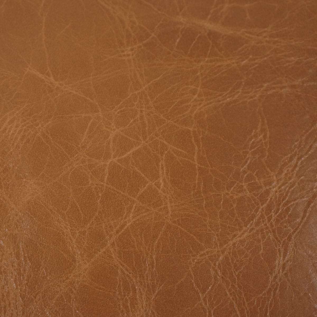 VENUP.Caramel.02.jpg Venetian Upholstery Hide Image