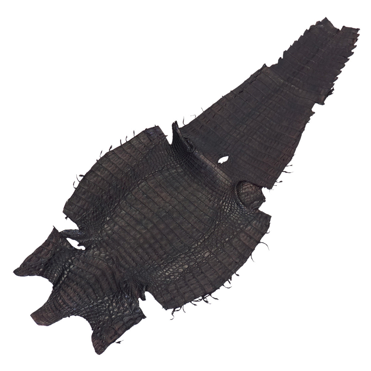 BCCS.Small.01.jpg Belly Cut Caiman Skins Image
