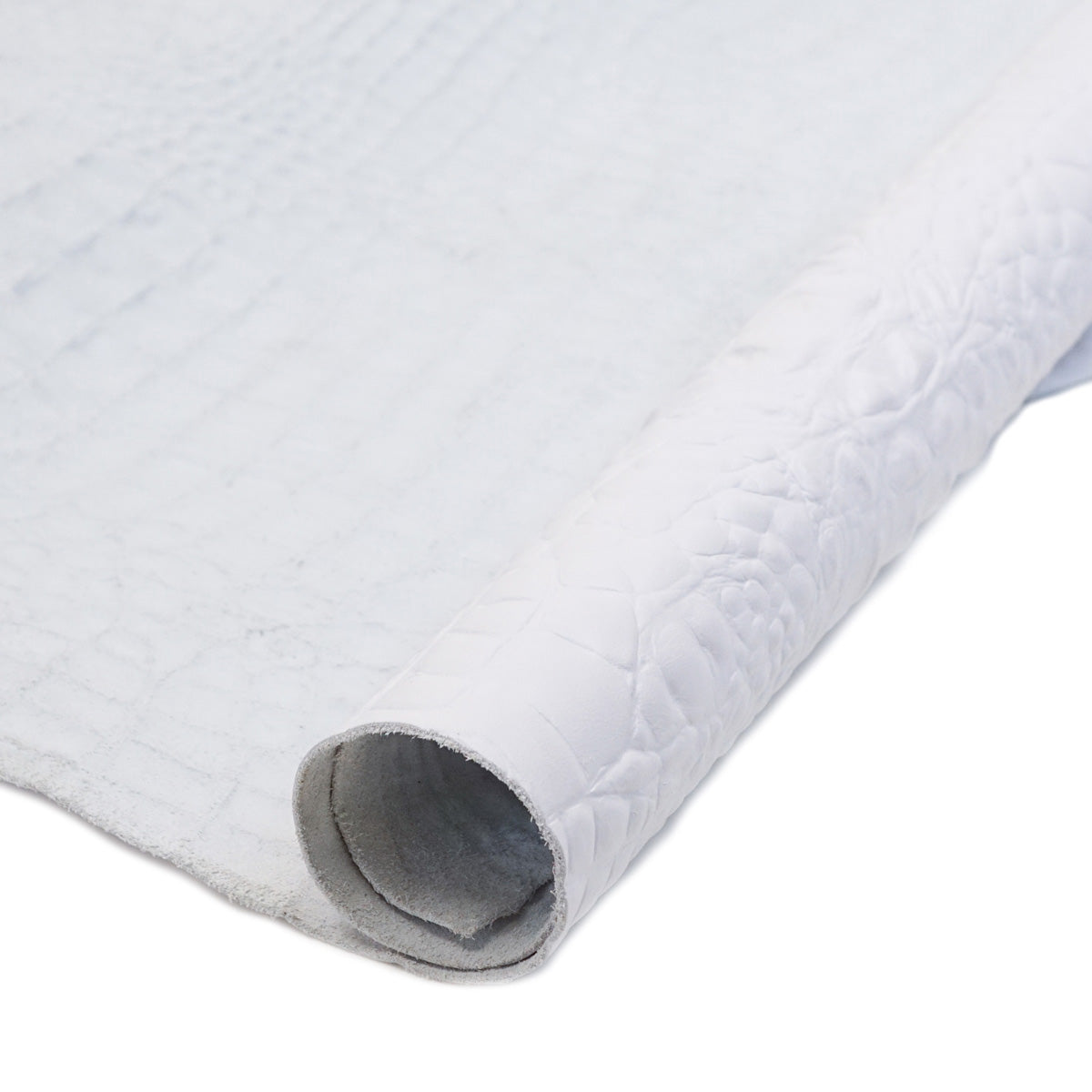 62-2604.SLC.3.jpg Embossed Alligator Side - White Image