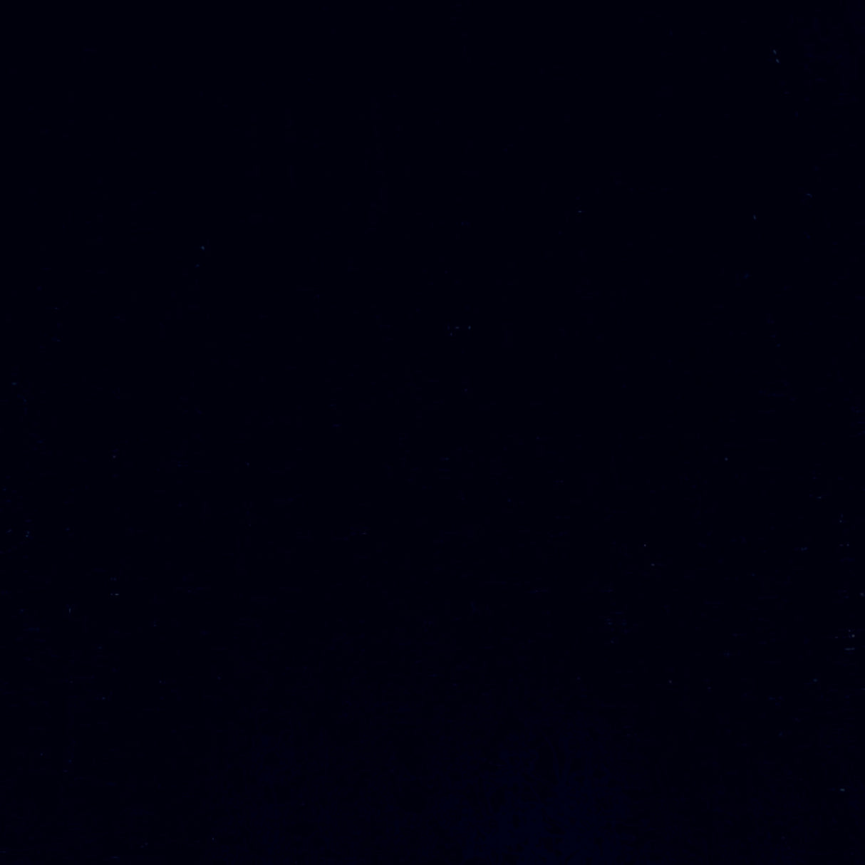 138-18.SLC.3.jpg Full Sheet of Gold Futura Cork Image