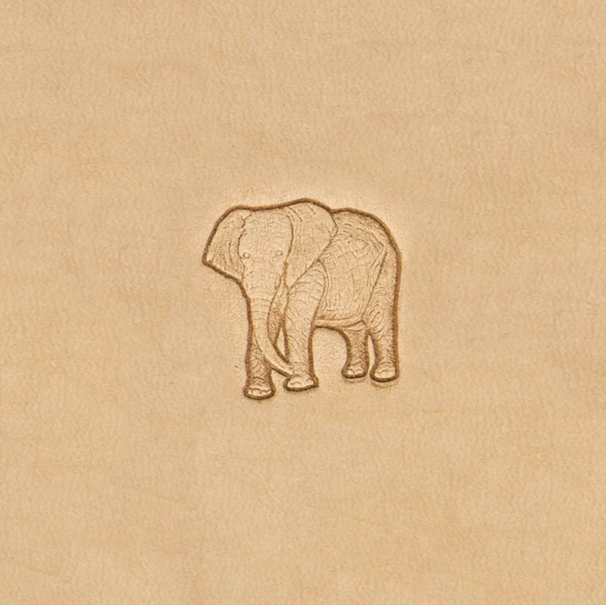 3DAA.Elephant.01.jpg 3D African Animal Stamps Image