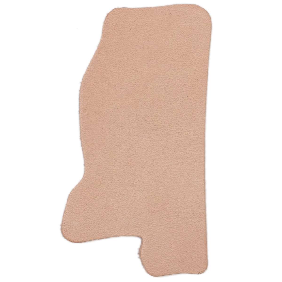 SHPMIS.SLC.1.jpg State Shape - Mississippi Image