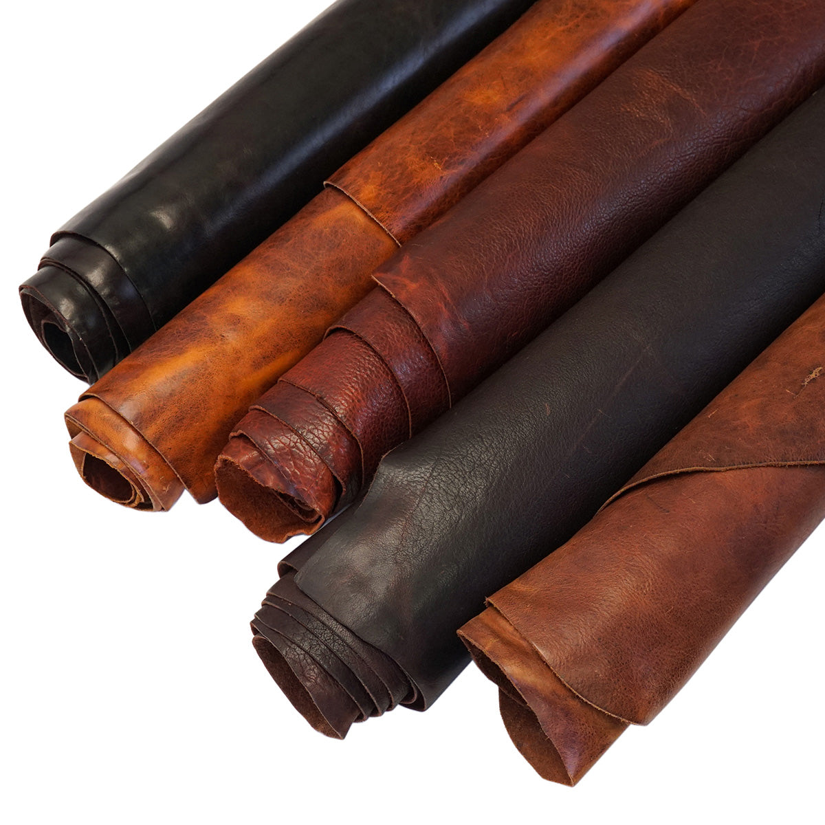 BIS.SLC.default.jpg Classic Bisonte Image