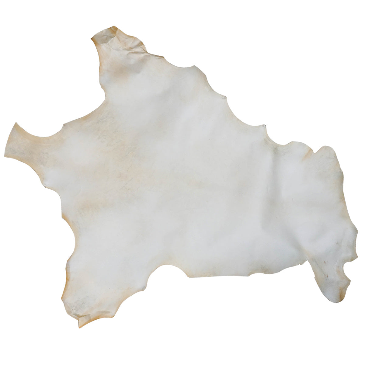 189-01.SLC.01.jpg Bleached Rawhide Kangaroo Skins Image