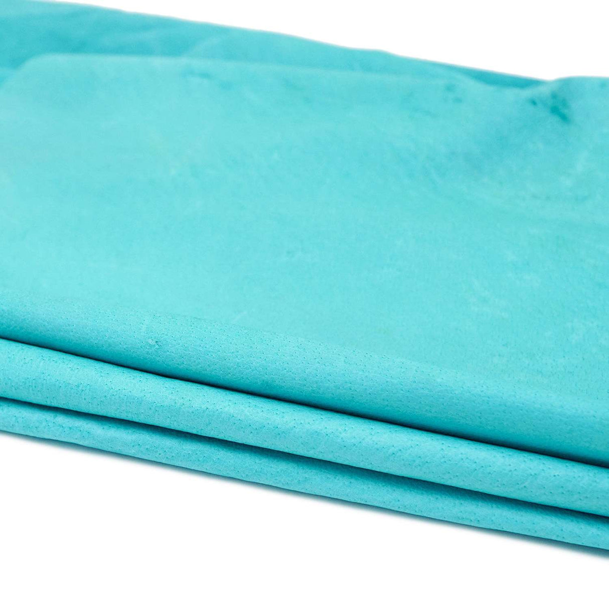 GMPS.Turquoise.01.jpg Garment Pig Suede Image