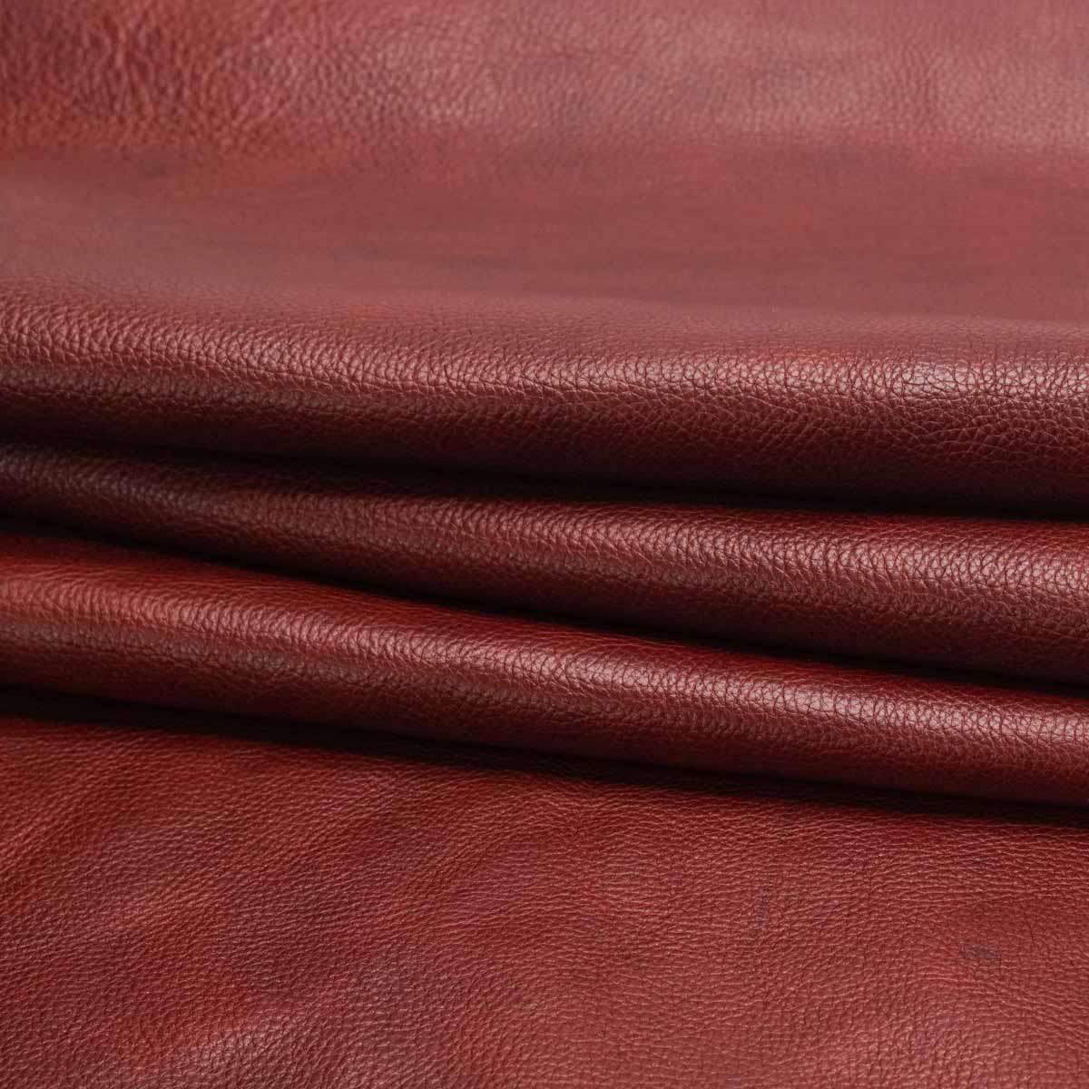 579-001.SLC.02.jpg Nutmeg Bulldog Side Image