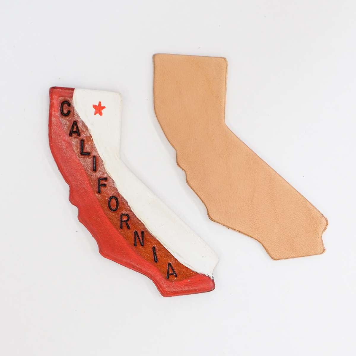 SHPCA.SLC.2.jpg State Shape - California Image