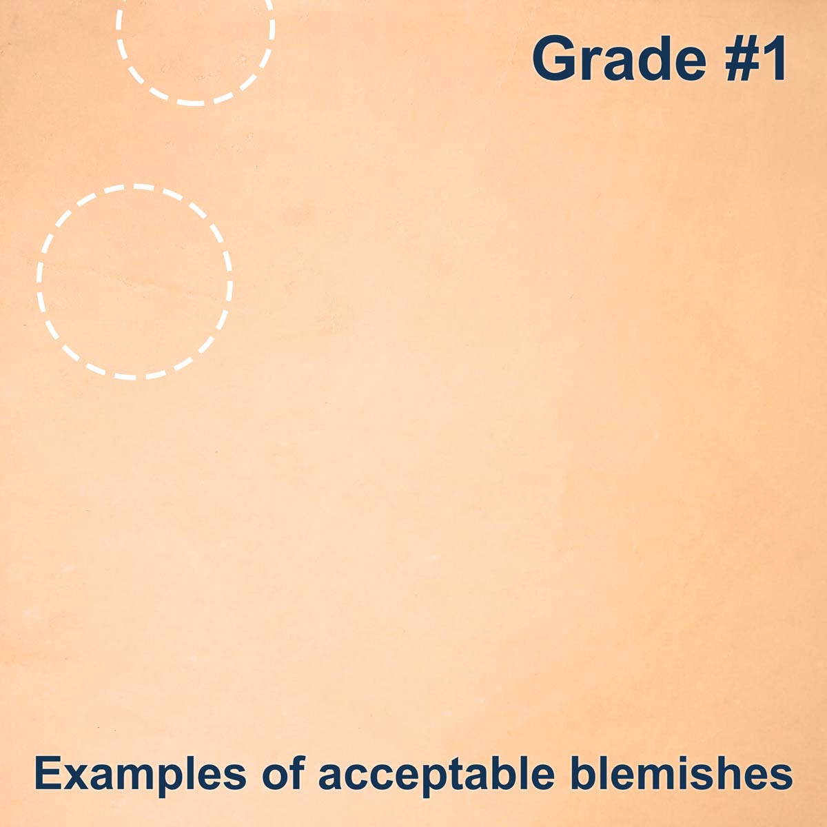 100-A.SLC.3.jpg Import Tooling Pre-Cut - 6" x 12" Image