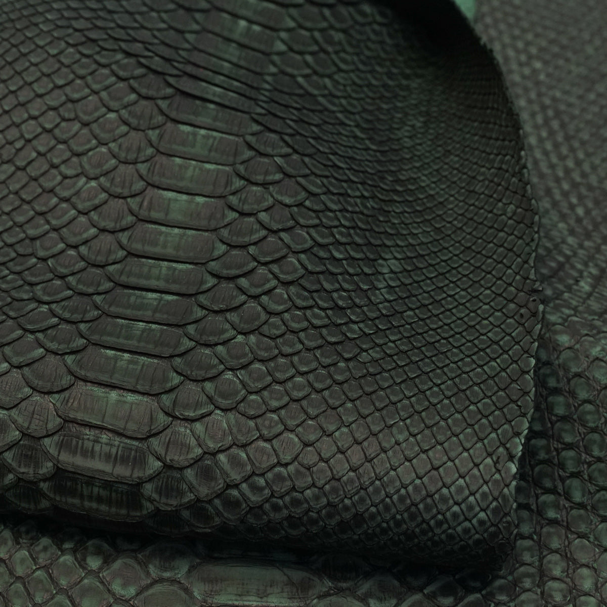 SPSKN.Green.02.jpg Safari Python Skin Image