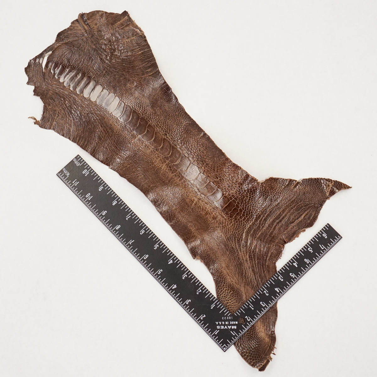 63-30514.SLC.3.jpg Ostrich Leg - Rugged Image