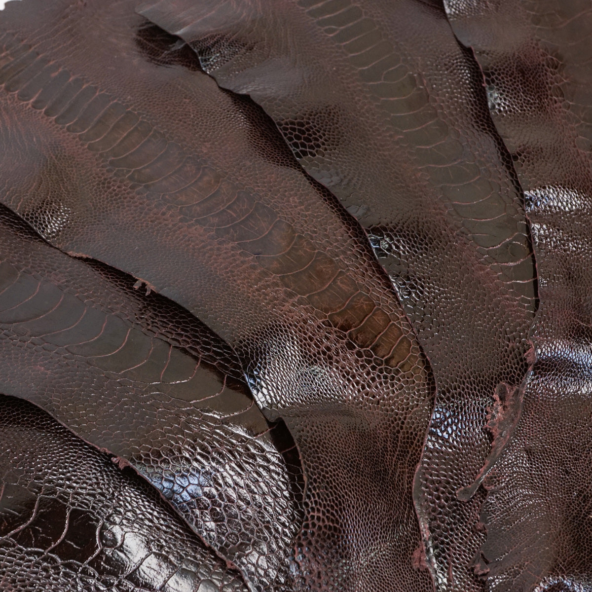 22-17.SLC.1.jpg Special Purchase Ostrich Leg - Bordeaux Image