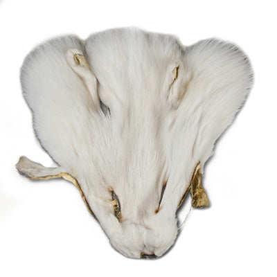 126-192.SLC.jpg Arctic Fox Face Image