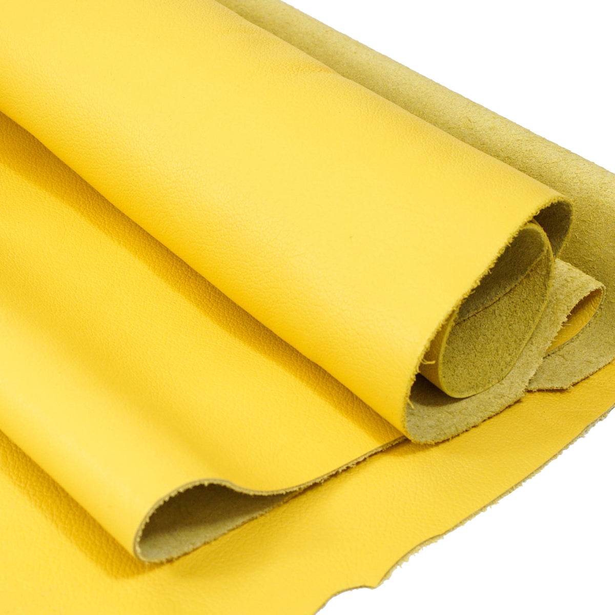 6200-816.SLC.1.jpg Lightweight Biker/Chap Side - Gold Image