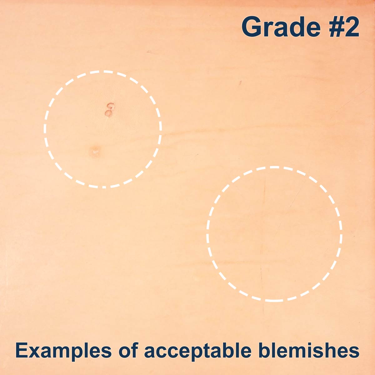 100-G.SLC.5.jpg Import Tooling Pre-Cut - 8.5" x 11" Image