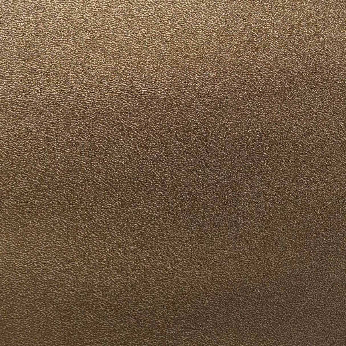 541-22.SLC.03.jpg Faya Finished Kidskin - Old Gold Image