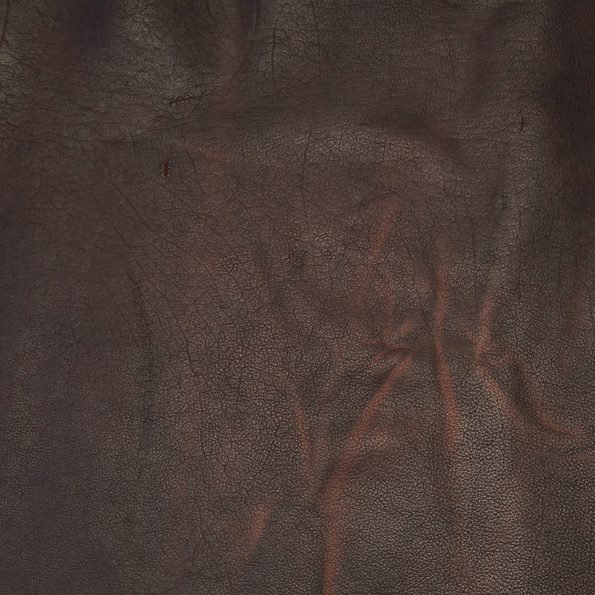 BIS.Dark Whiskey.Shrunken.03.jpg Classic Bisonte Image