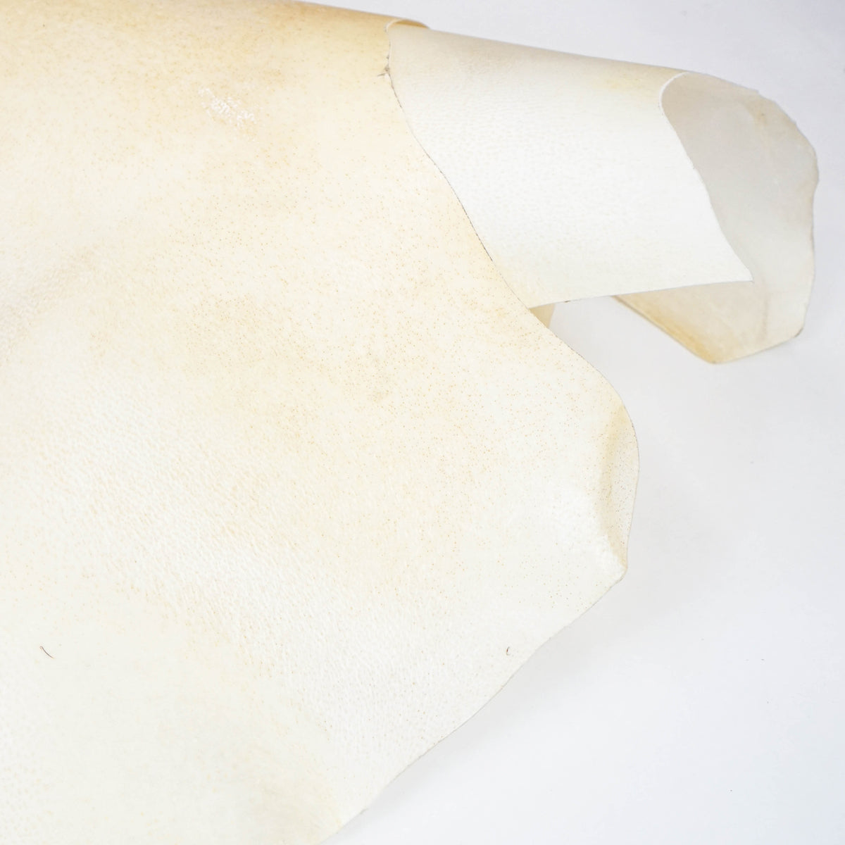 121-92103B.SLC.2.jpg Bleached Goat Rawhide - XL Image