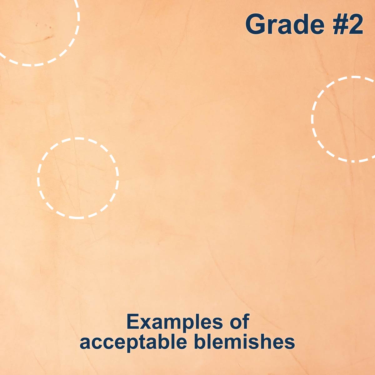 100-A.SLC.4.jpg Import Tooling Pre-Cut - 6" x 12" Image