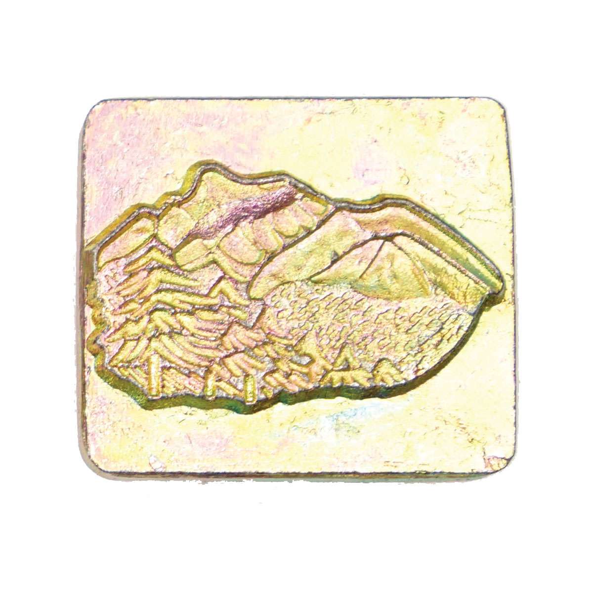 011-8832400.SLC.2.jpg Mountain & Trees - 3D Stamp Image