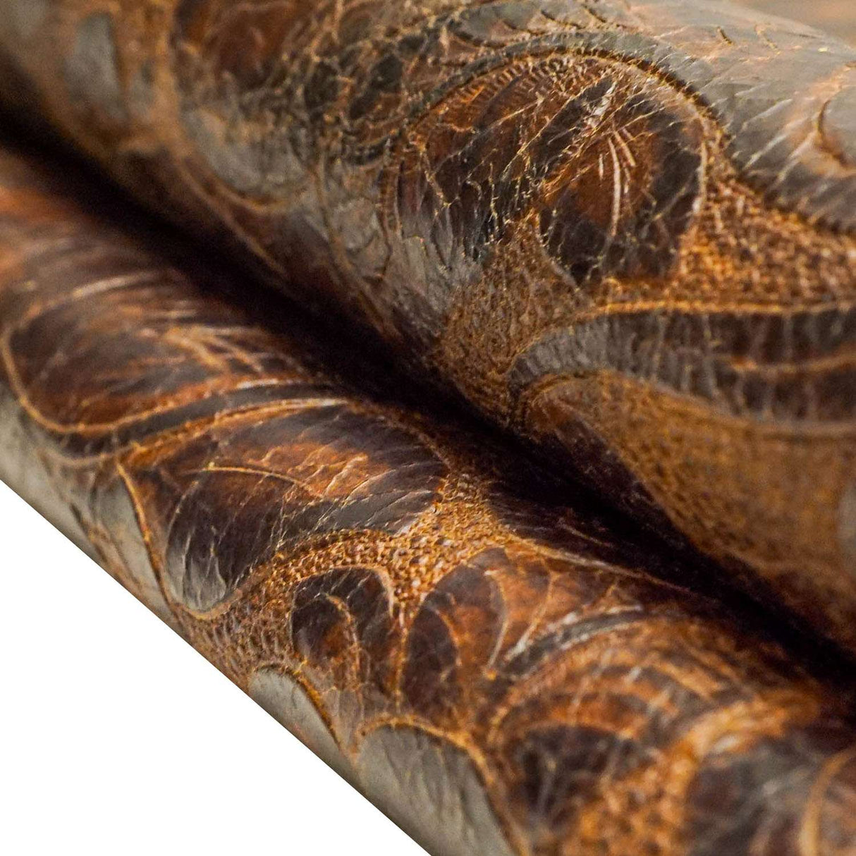 57-18.SLC.01.jpg Jesse Jame Eagle Floral - Brown Image