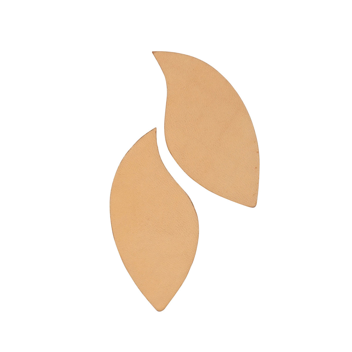 Earring, Large - Petal, Pair
