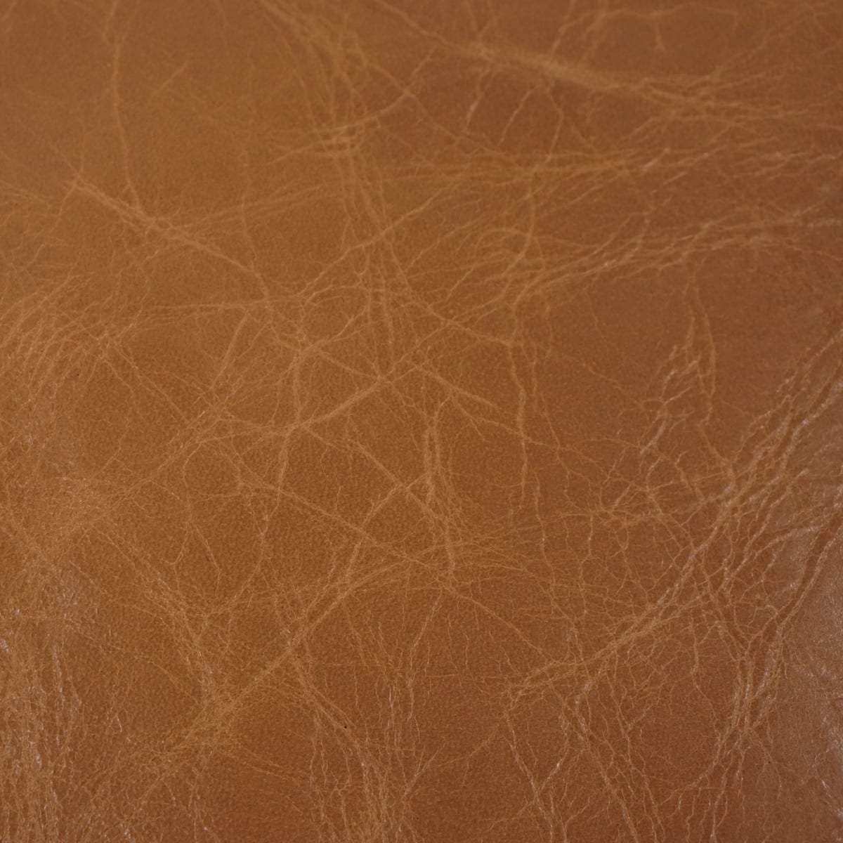 VENUP.Caramel.02.jpg Venetian Upholstery Hide Image