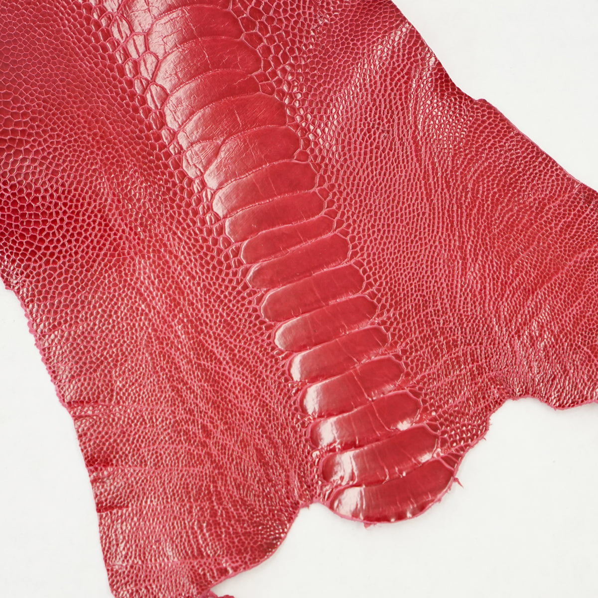 63-30502.SLC.1.jpg Ostrich Leg - Lathyrus Image