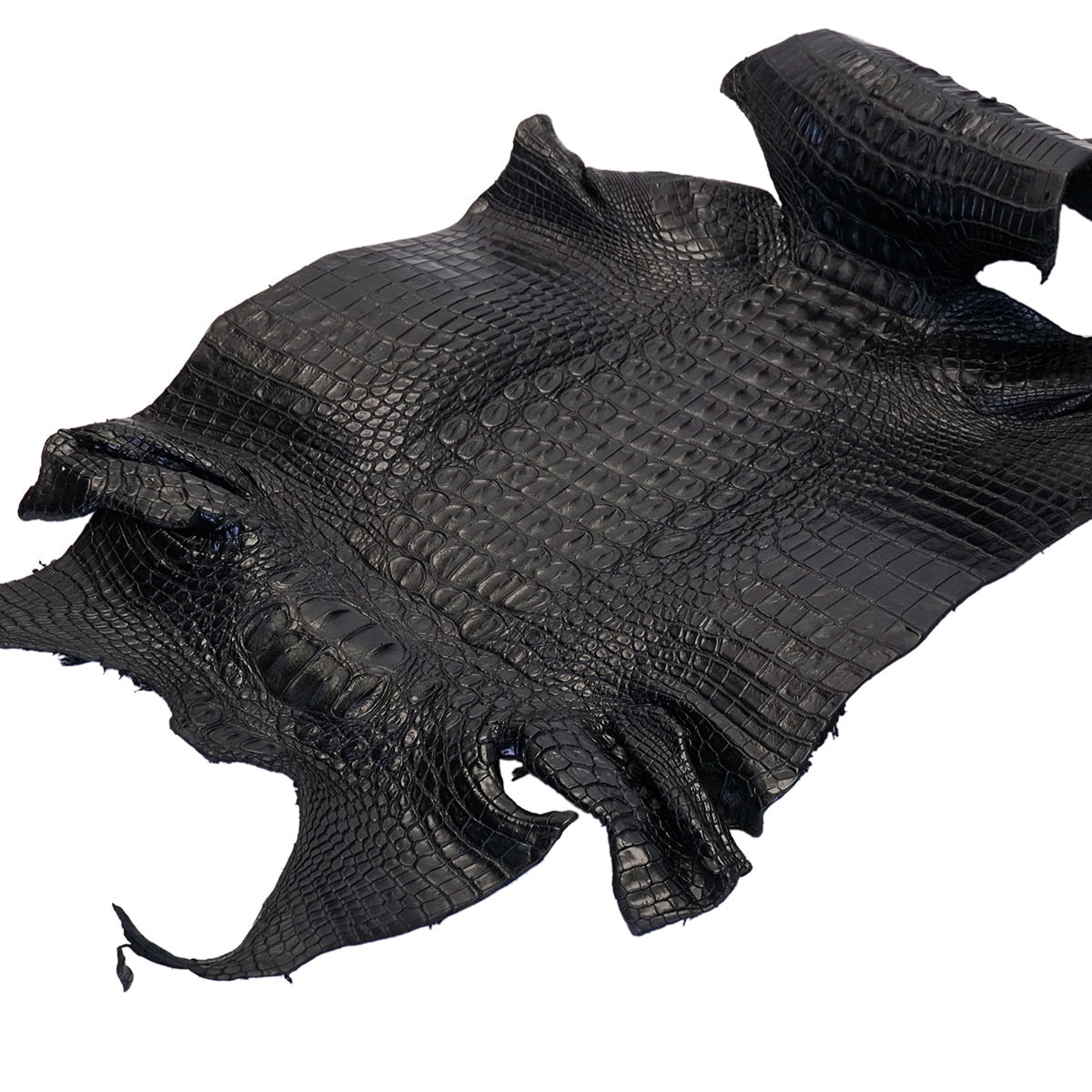 63-326.SLC.01.jpg Nile Croc with Hornback - Black Small Image