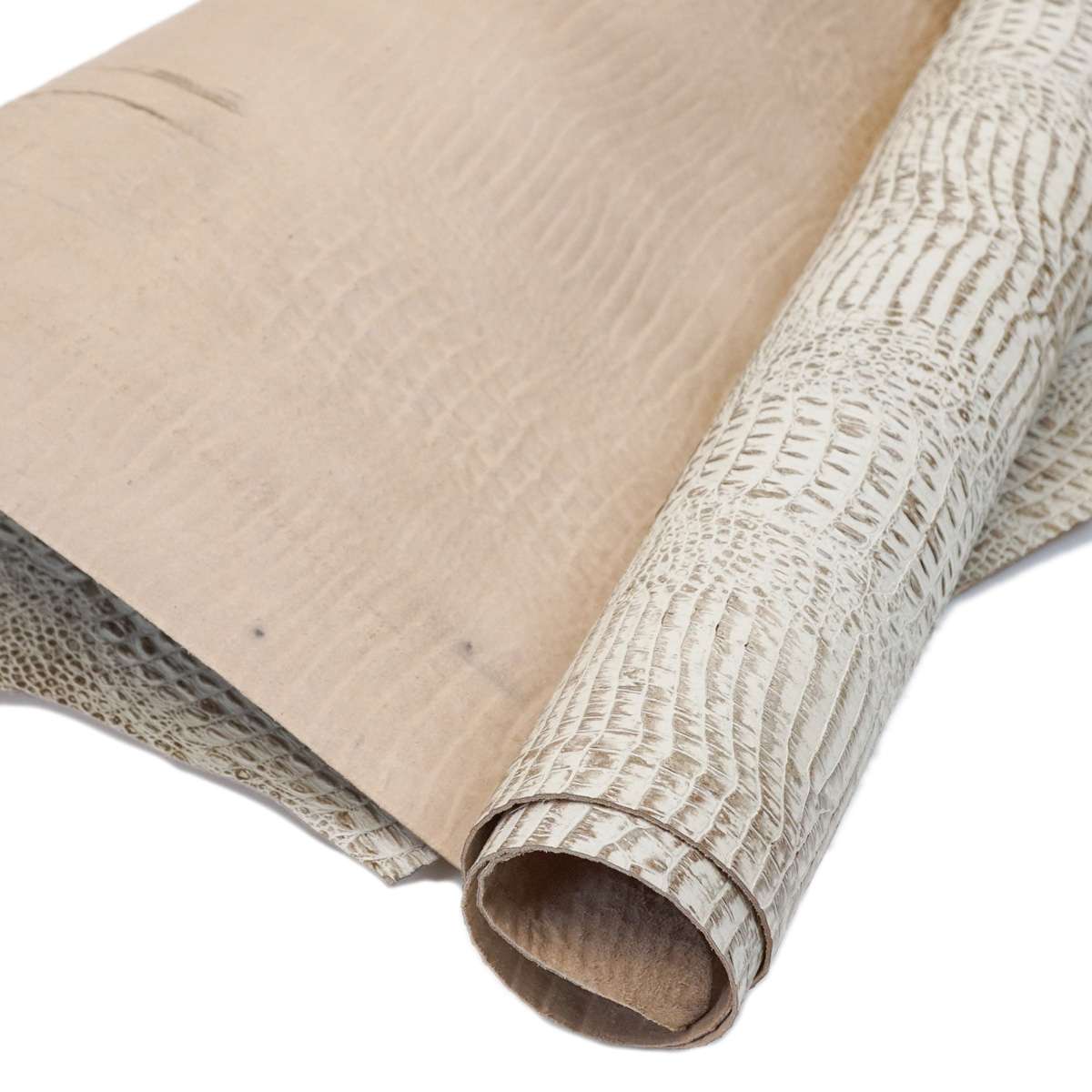 371-17904.SLC.1.jpg Embossed Gator on Cow - Antique Bone Image