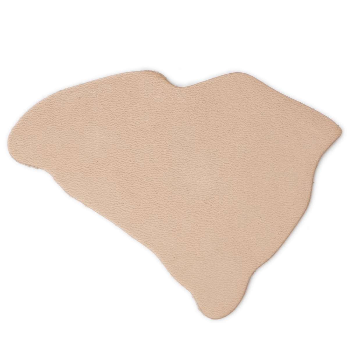 SHPSC.SLC.1.jpg State Shape - South Carolina Image