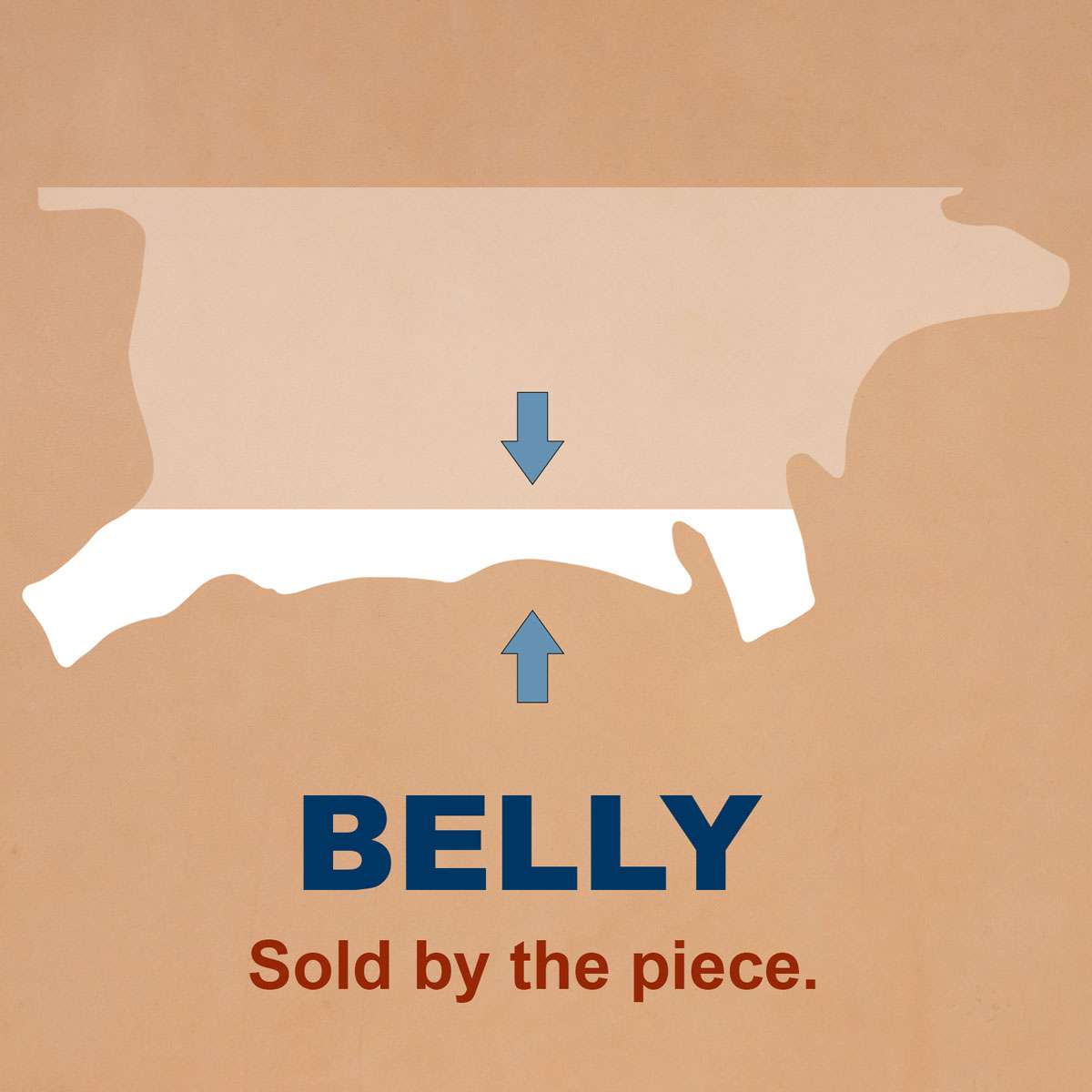 123-8005.SLC.4.jpg Saddle & Tack Belly - Chestnut Image