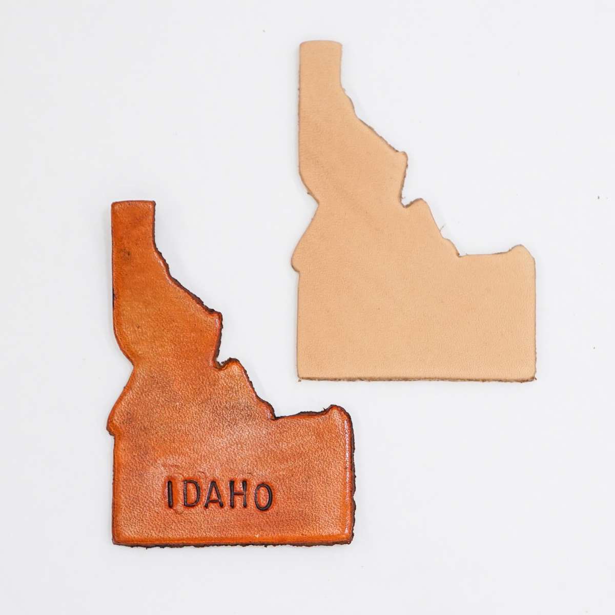 SHPID.SLC.2.jpg State Shape - Idaho Image