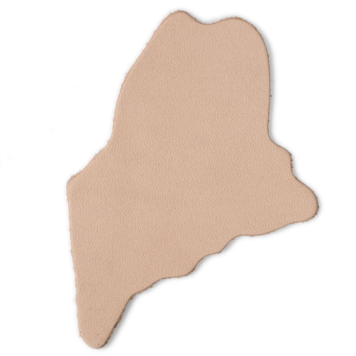 SHPME.SLC.1.jpg State Shape - Maine Image