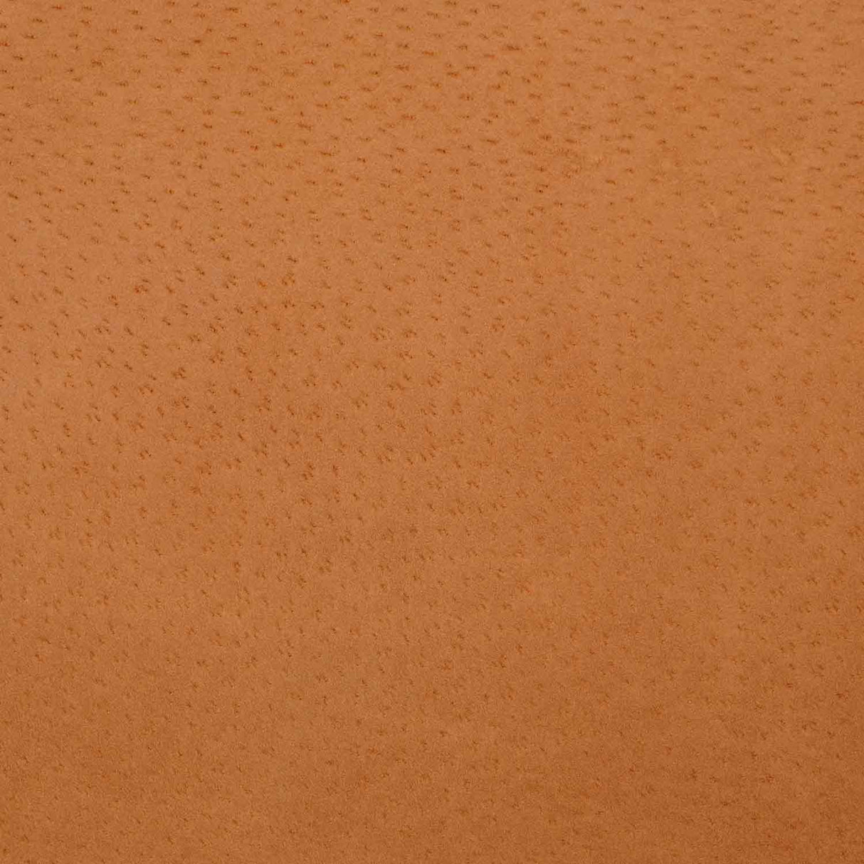 371-17503.SLC.03.jpg Glazed Pig Lining - Tan SqFt Image