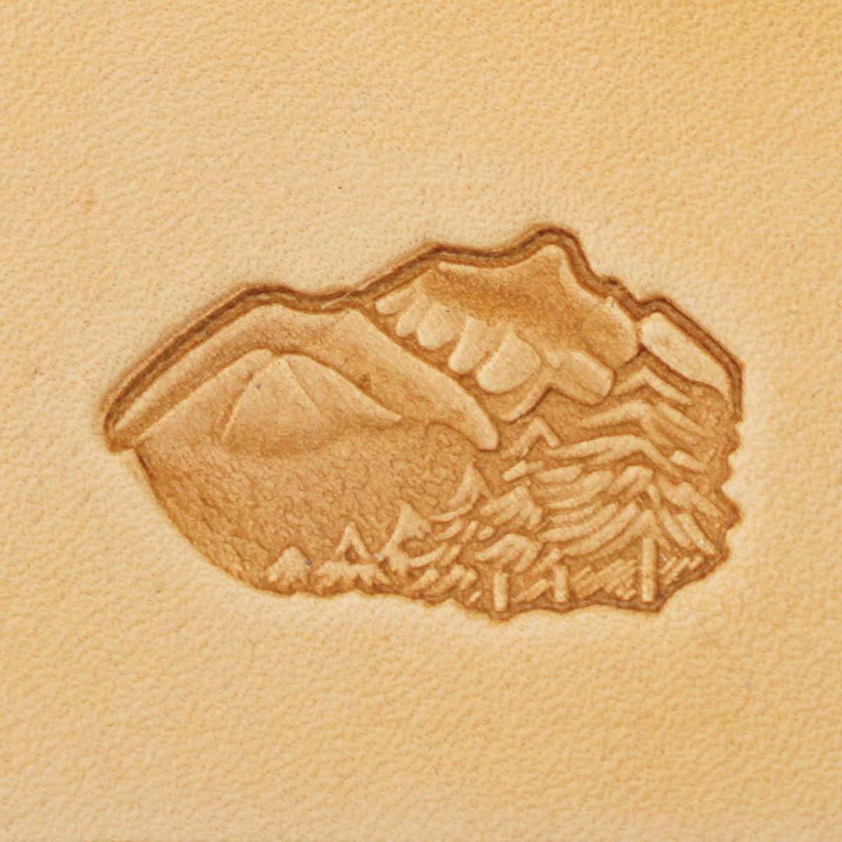 011-8832400.SLC.1.jpg Mountain & Trees - 3D Stamp Image