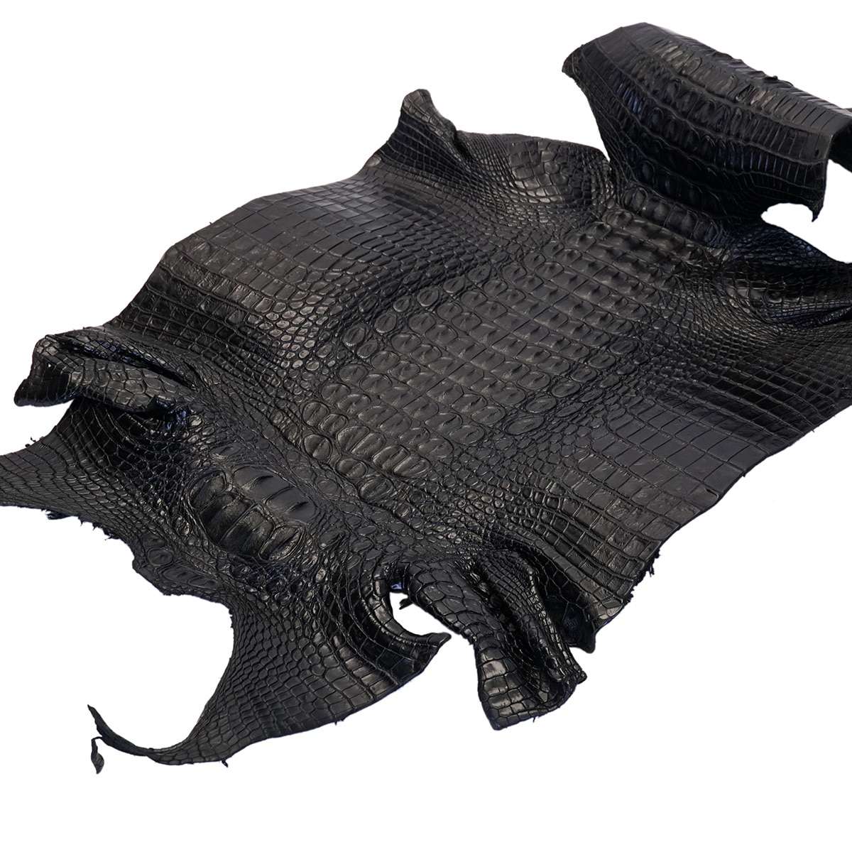 63-326.SLC.01.jpg Nile Croc with Hornback - Black Small Image