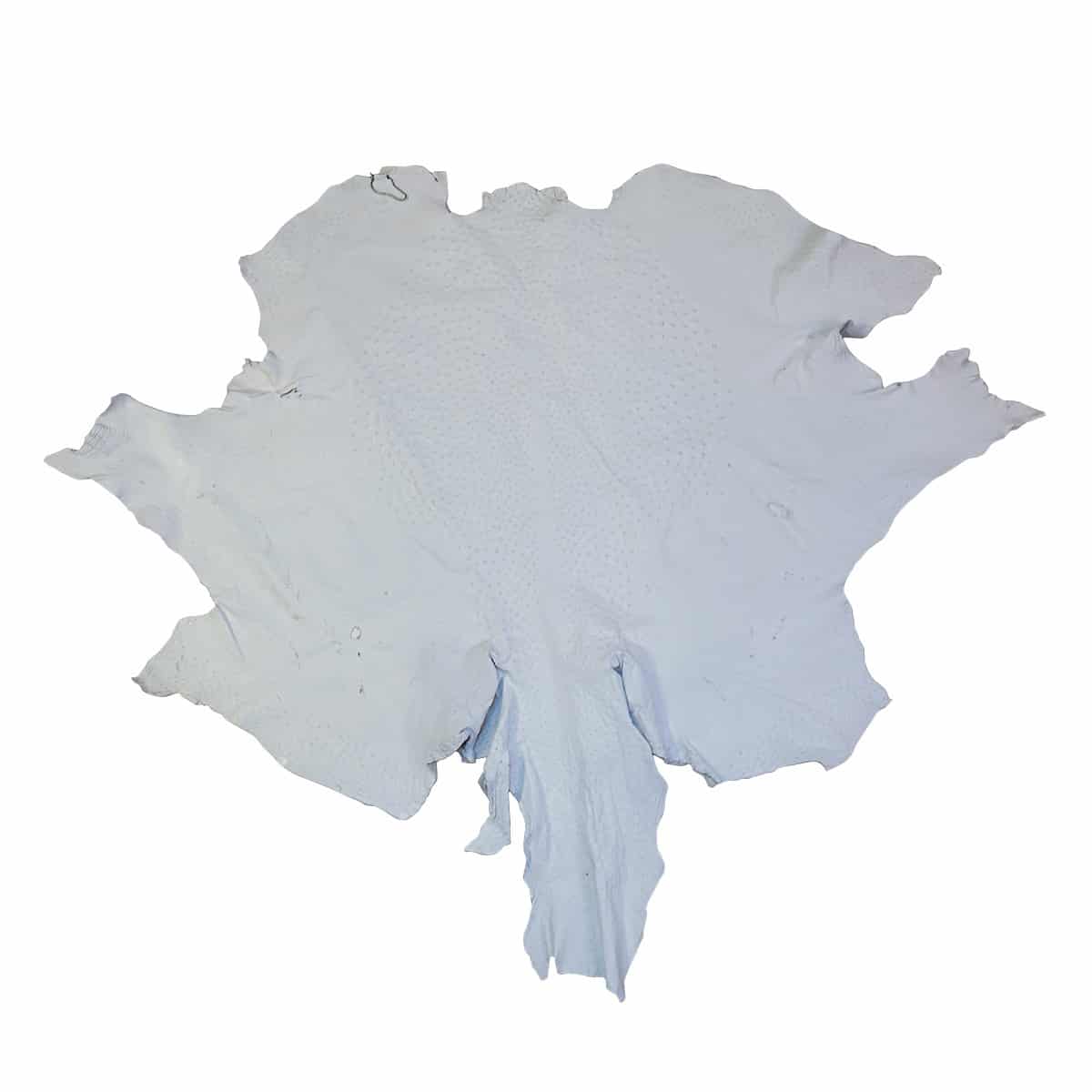OSTH.Winter White.01.jpg Ostrich Hides Image
