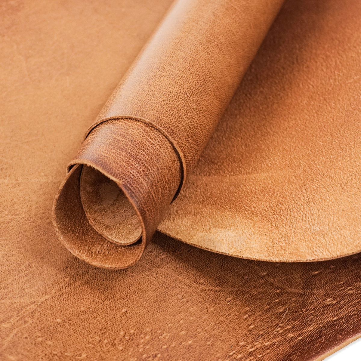 VTKS.Cognac.Glazed Finish.1.jpg Veg Tan Kangaroo Skins Image