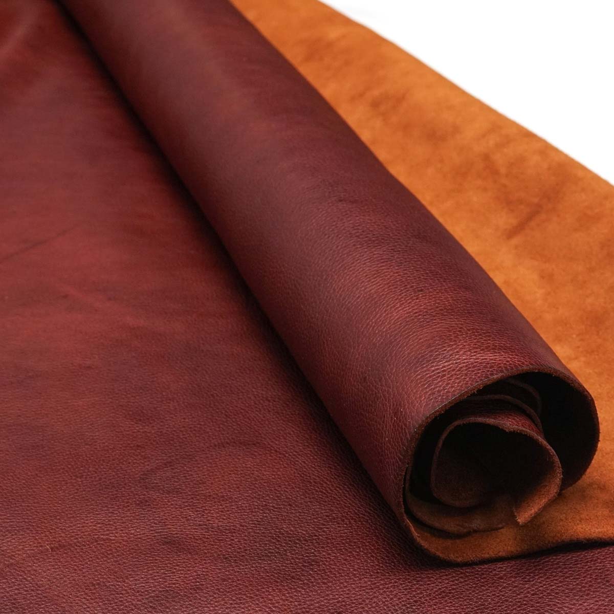 579-001.SLC.01.jpg Nutmeg Bulldog Side Image