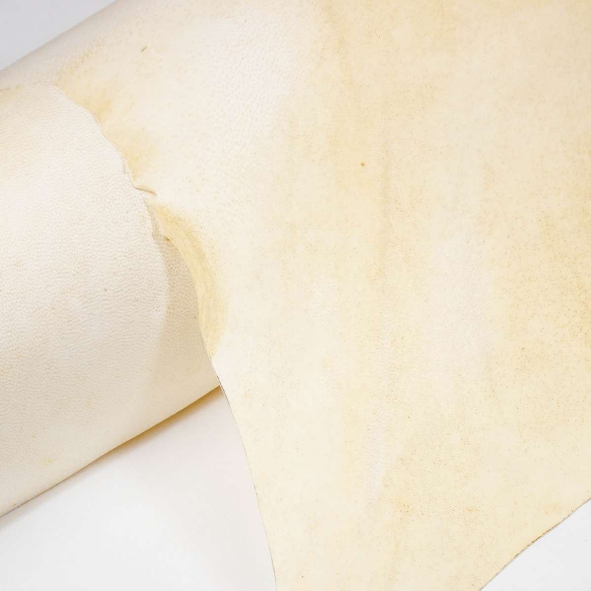 121-92103B.SLC.3.jpg Bleached Goat Rawhide - XL Image