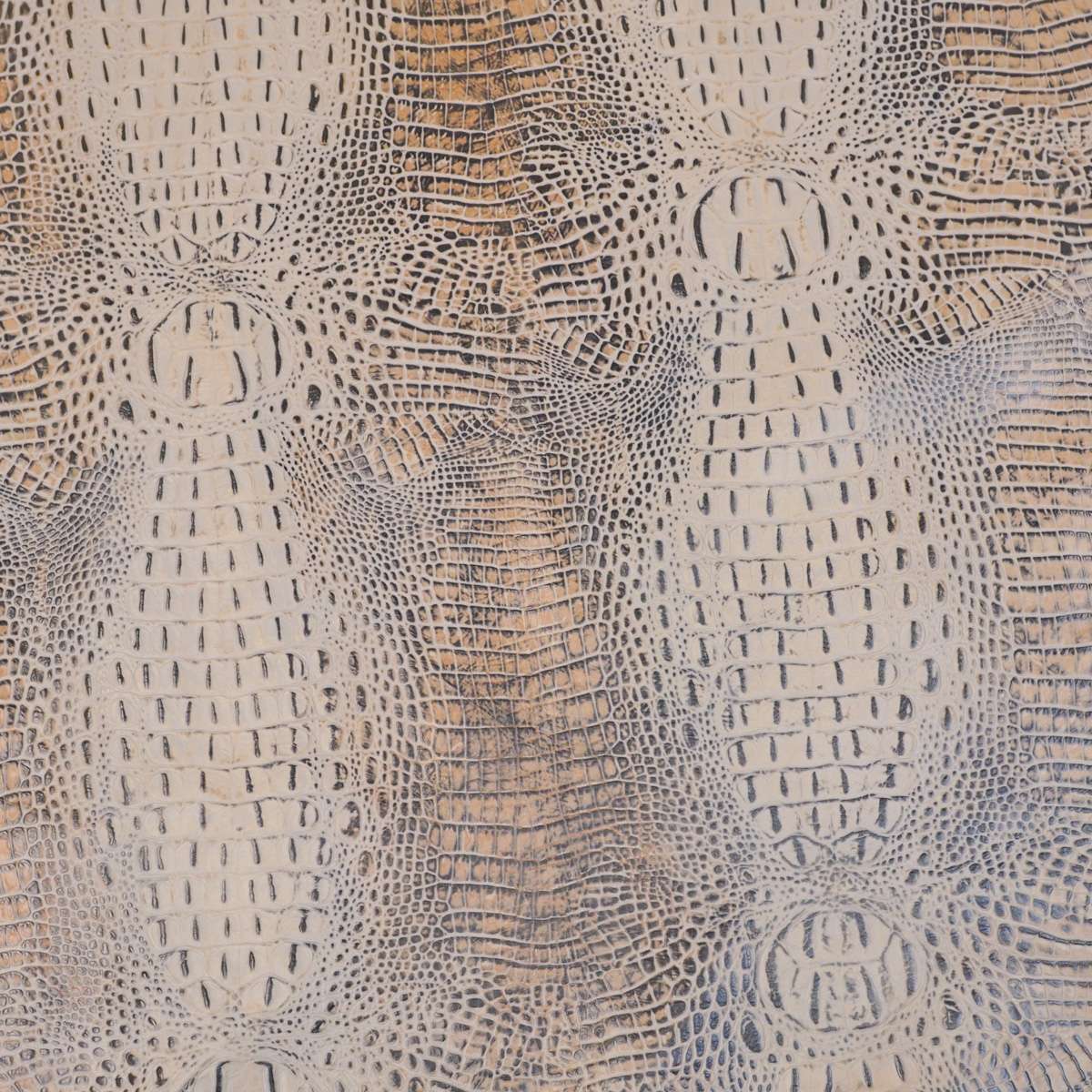 EGOC.Taupe.04.jpg Embossed Gator on Cow Image