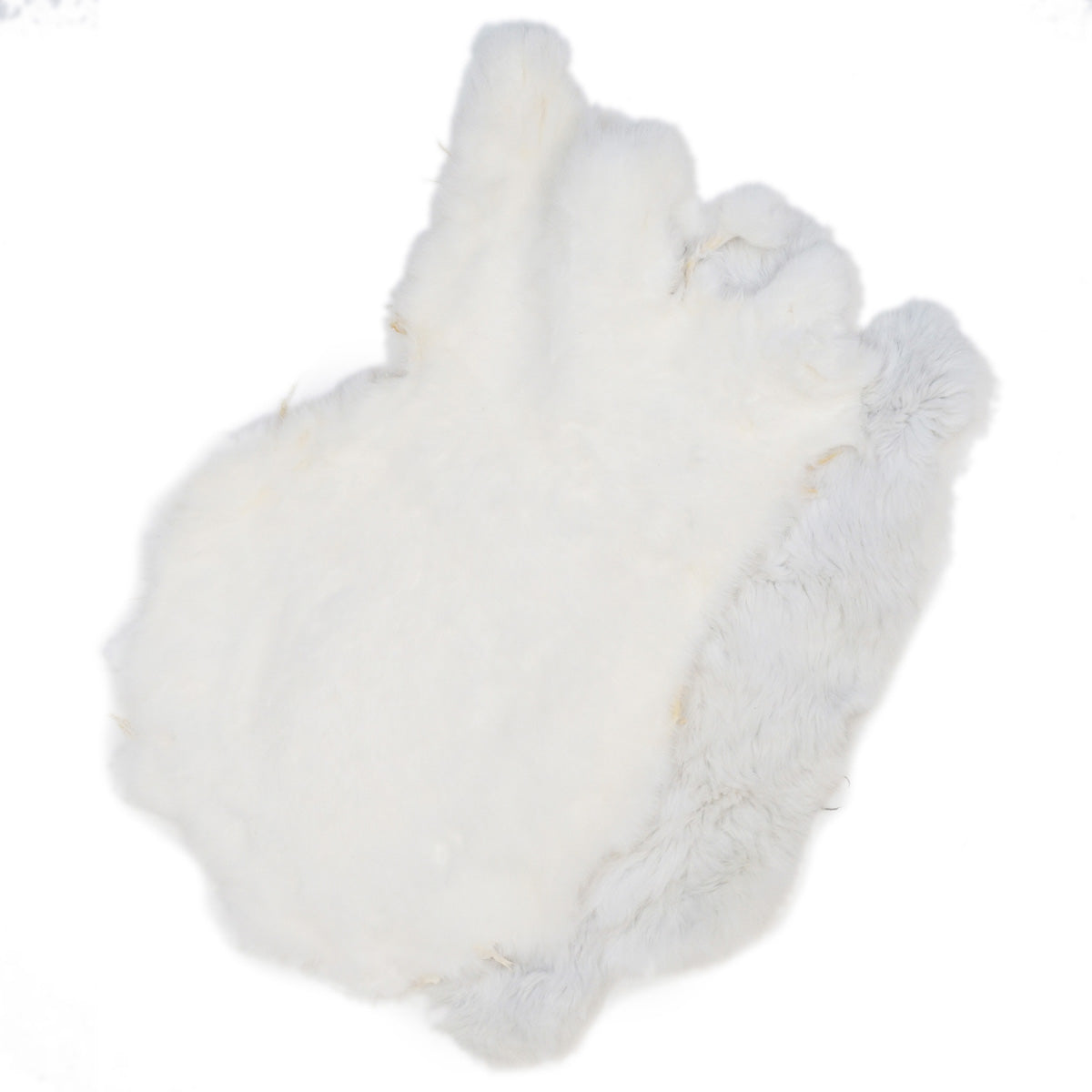 22-260500.SLC.1.jpg White Rabbit Skin Image