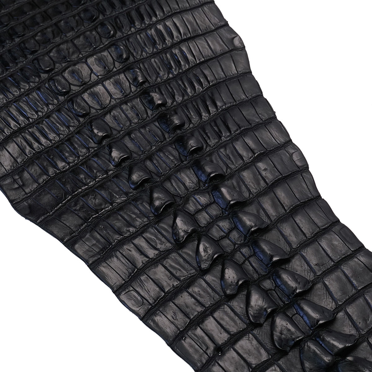 63-326.SLC.03.jpg Nile Croc with Hornback - Black Small Image